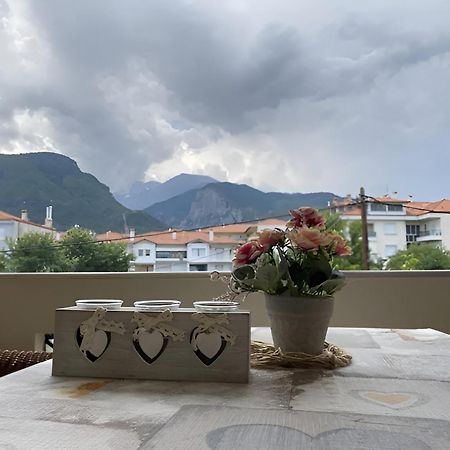 Ferienwohnung Στη Γοητεία Του Ολύμπου Litochoro Exterior foto